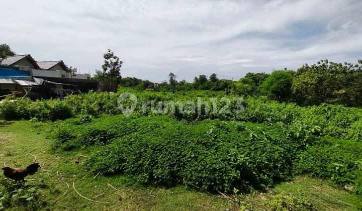 Sell 1.34 Hectares Global IDR 290 Million Per Are GWK Ungasan Area.