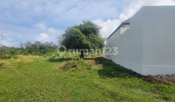 Dijual Tanah 3 Are Harga 500 Juta Per Are Kawasan Pandawa Beach Kutuh Kuta Selatan Badung Bali