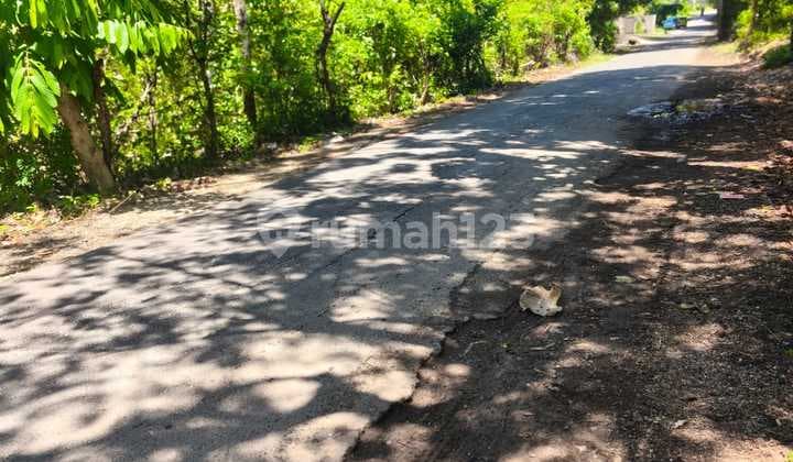 Land 20 Ares Main Road Gunung Payung Pandawa Beach Kutuh Badung Bali