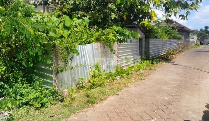 Dijual Tanah 5,85 Are bisa Dibeli 3 Are Idr 600 Juta Per Are Dipurigading Jimbaran Badung Bali