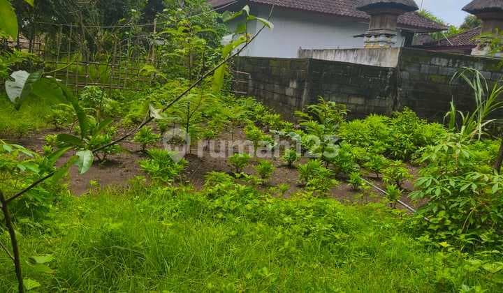 Disewakan Tanah Dipurigading Jimbaran Kuta Selatan Badung Bali