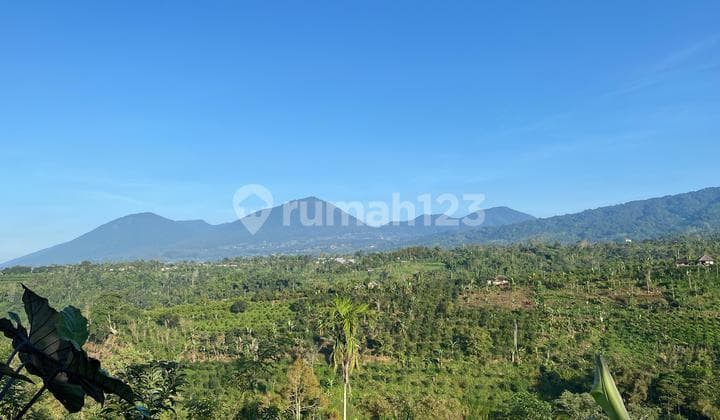 Tanah 50 Are Dipetang Badung Bali