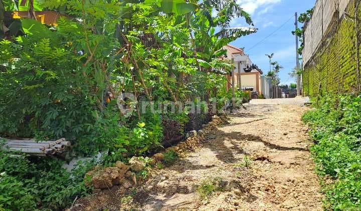 Disewakan Tanah 2,5 Are Idr 15 Jt/Are /Th Dekat Hotel Renaisance Ungasan Badung Bali