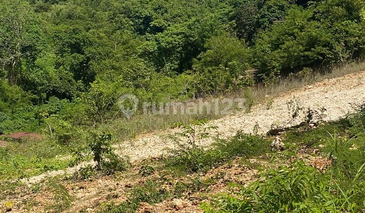 Disewakan Tanah Ocean View Dekat Gwk Ungasan