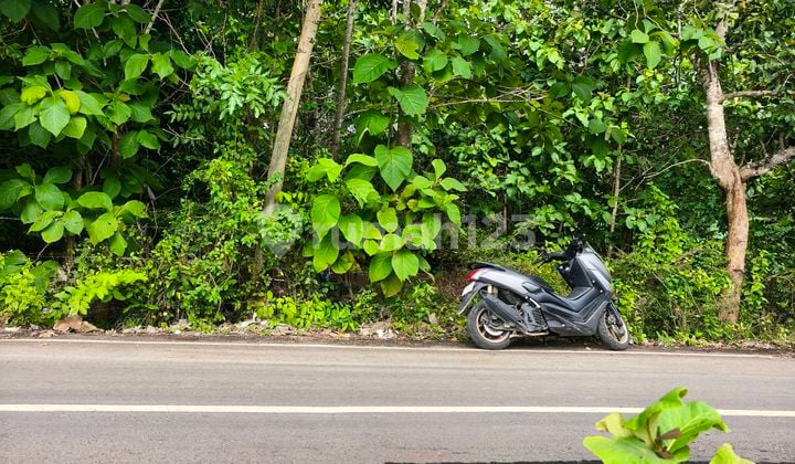 Dijual Tanah 2393m² Idr 600 Juta Per Are Kawasan Pantai Balangan Jimbaran