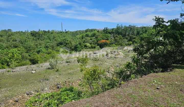 Dijual Tanah 2,05;Hektar Idr 500 Juta Per Are di Pantai Balangan Jimbaran Badung Bali