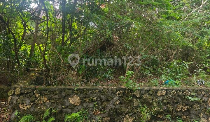 Land for Sale 4.84 Are, Price 850 Million Per Are, Near Nirmala Pecatu, South Kuta, Badung, Bali