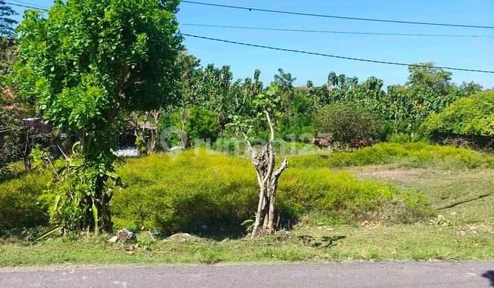 For Sale Land 5.44 Are IDR 600 Million Per Are Gunung Payung Kutuh Badung Bali Beach Area