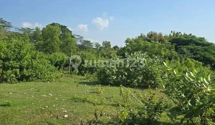 Dijual Tanah 4960M² Idr 275 Juta Per Are Dekat Poltekpar Bali Stp Nusa Dua