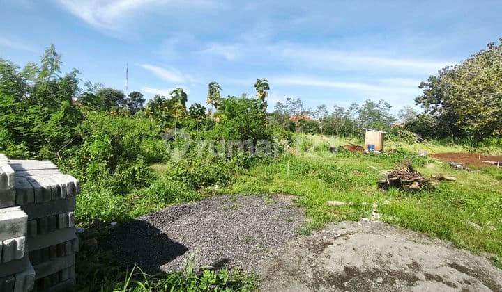 Disewakan Tanah9 Are & 10,25 Are Idr 12 Jt/Are/Th Kawasan Pandawa Beach Kutuh Kuta Selatan Badung Bali