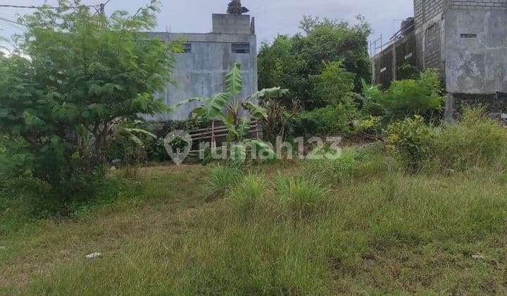 Dijual Tanah 460 M² Nett 375 Jt/Are Kawasan Pandawa Beach Kutuh Badung Bali