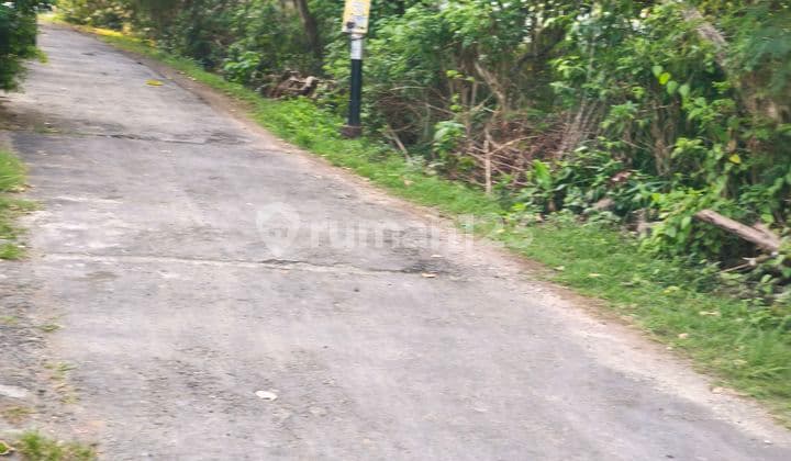 Dikontrakan Tanah Dipranagading Jimbaran