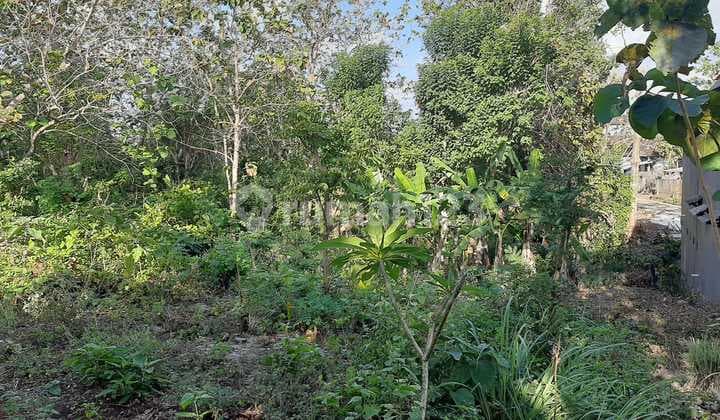 Dijual Tanah 10 Are Harga 650 Juta /are Dekat Mall Sidawakl Jimbaran Badung Bali