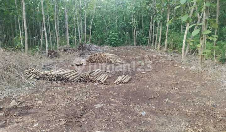 Dijual Tanah 26,50are & 16 Are Dekat Smp Negeri 5 Kutuh Kuta Selatan Badung Bali