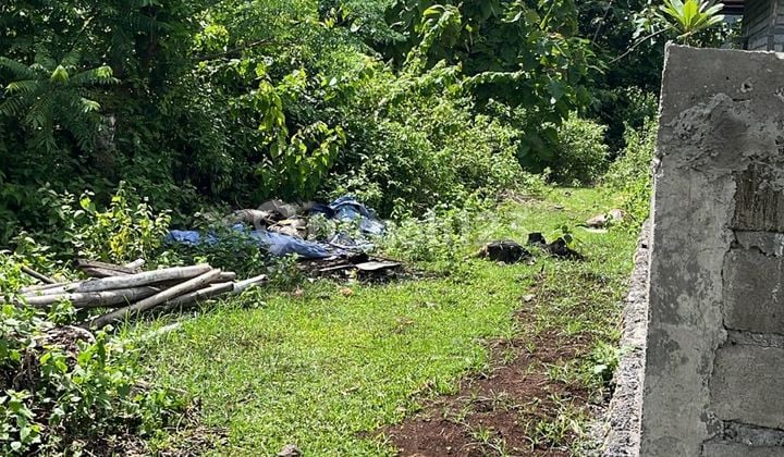 Disewakan Tanah 5 Are Harga 10 Juta/Are /Tahun Dekat Politeknik Jimbaran Badung Bali