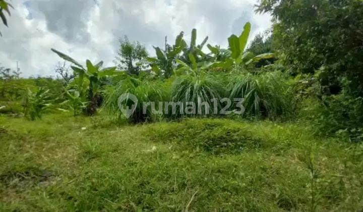 TRANSLATED: For Sale: Land 4.80 Are IDR 375 Million Per Are in Pandawa Beach Area, Kutuh Badung Bali