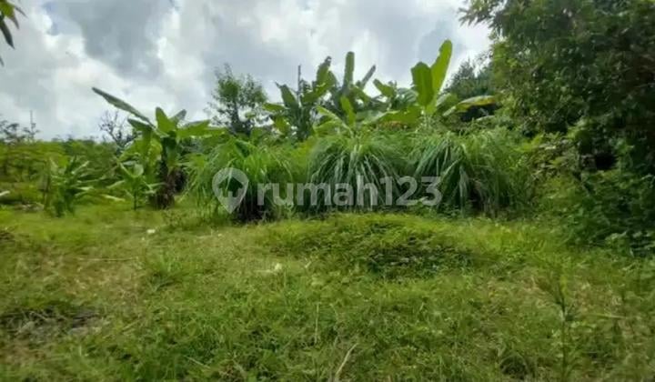 TRANSLATED: For Sale: Land 4.80 Are IDR 375 Million Per Are in Pandawa Beach Area, Kutuh Badung Bali