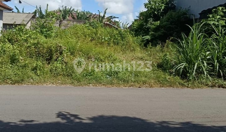 EN: Land for Sale: 2.32 Are, IDR 750 Million per Are, at Unud Campus, Jimbaran, Badung, Bali