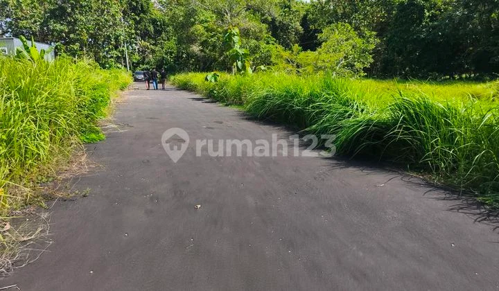 Land for Sale 2045m² IDR 450 Million Per Are Near STP Nusa Dua, South Kuta, Badung, Bali