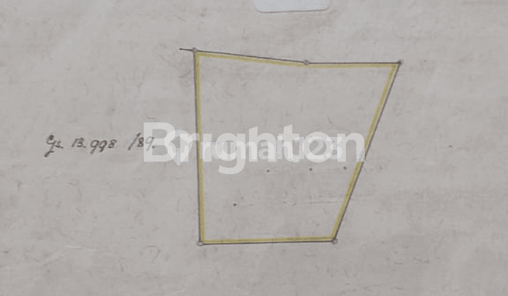 TANAH PERKEBUNAN MURAH DI WONOGIRI HANYA 50RB RUPIAH PER METER PERSEGI