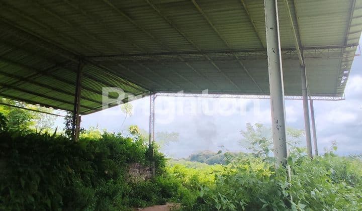 TANAH POLOKARTO ZONA MERAH MURAH