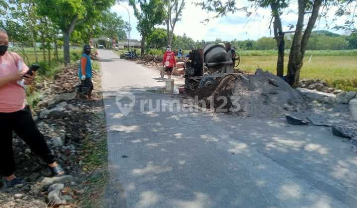 Tanah Sawah Pinggir Jalan Strategis bisa untuk Usaha