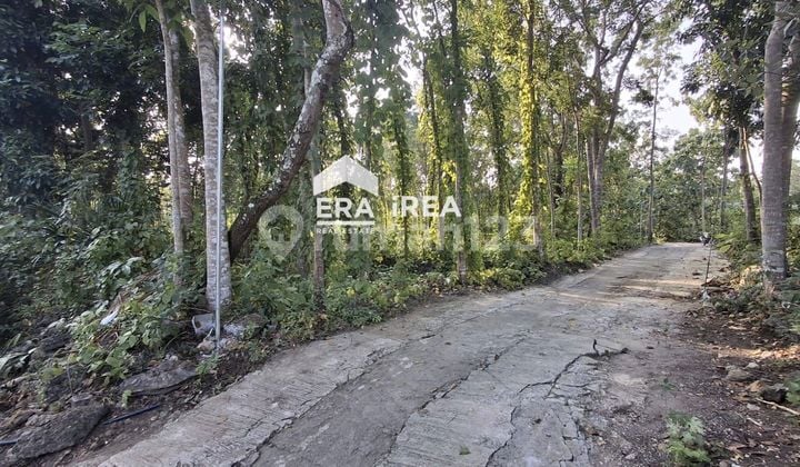 Tanah Pekarangan di Kawasan Industri Daerah Bantul