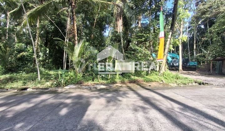 Ready-to-Build Land in a Prime Location