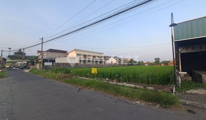 Tanah Dekat Pakuwon Dekat Kampus