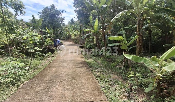 Tanah Pekarangan Dekat Kampus Umy