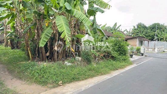Tanah Pekarangan Cocok Buat Investasi