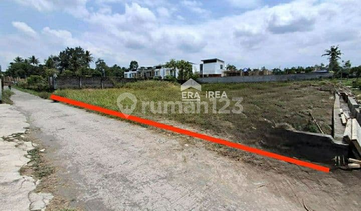 Tanah Pekarangan Daerah Utara Cocok Buat Invest