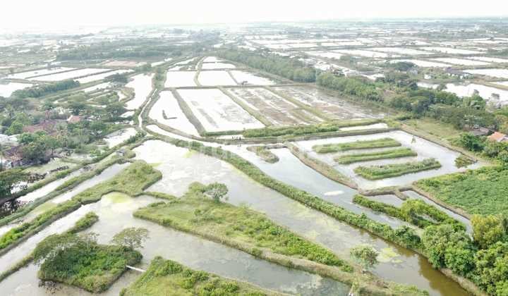 Tanah Utk. Industri, Lt. 8227, Lebar 87.5, Shm, Sukajaya, Pontang
