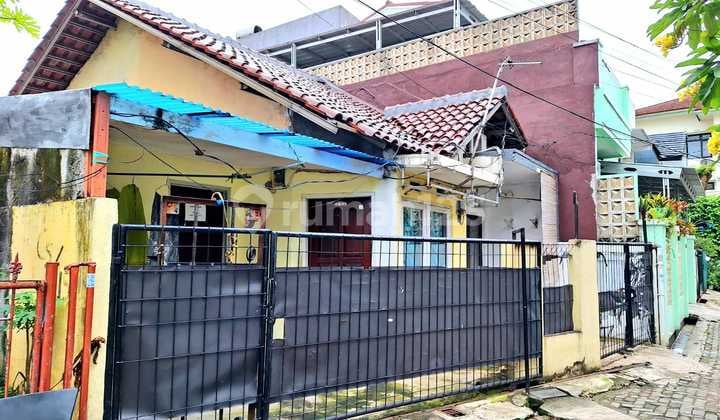 Rumah Kontrakan 1 Lt, Petakan 3 Pintu, dlm Prmhn Duren Sawit Baru