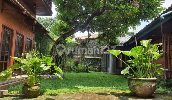 Rumah Asri Dan Cozy Premium Area Di Cipete Termurah