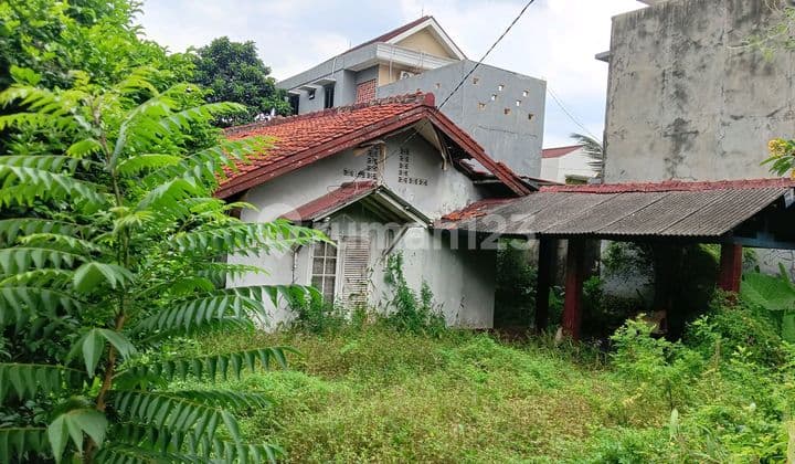 Rumah Tua Hitung Tanah Saja di Pejatendekat Universitas Nasional Pejaten Pasar Minggu