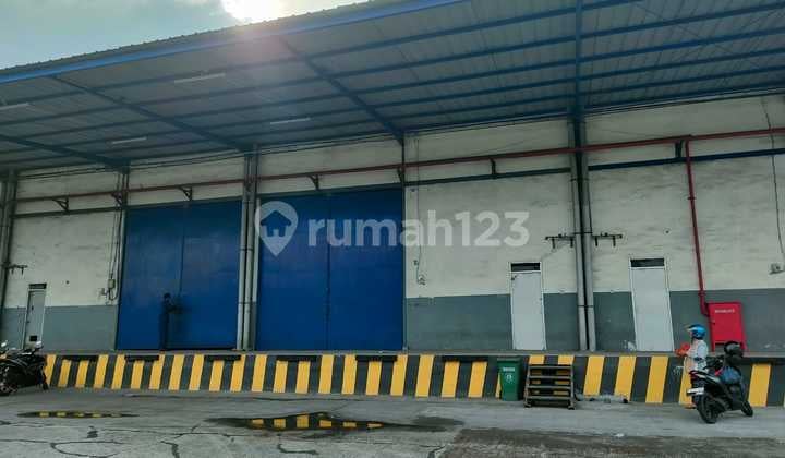 Disewakan Cepat Gudang Angke Jakarta Barat Ada Loading Dock dan Kantor