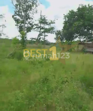 Tanah Murah Luas Cocok Untuk di Pontianak Kalimantan Barat