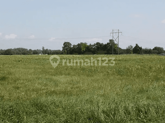 Tanah Strategis di Citra Green Cocok Untuk Gudang, Rumah, Dll