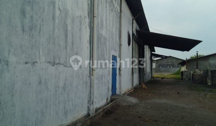 Gudang di Salembaran, Dadap Tangerang