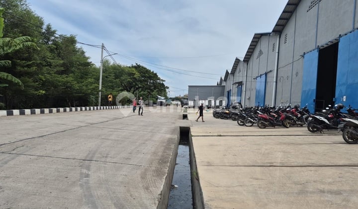 Pergudangan di Kawasan Pantai Indah Dadap Gudang Gandeng Gudang Plong Akses Kontener 40 Feet Dekat Bandara Soekarno Hatta & Tol Jakarta Tangerang