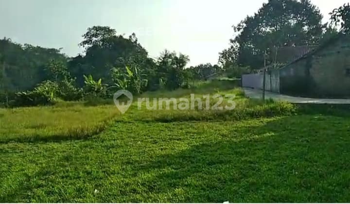 Tanah Di Jl Raya Leuwiliang Karacak Kabupaten Bogor