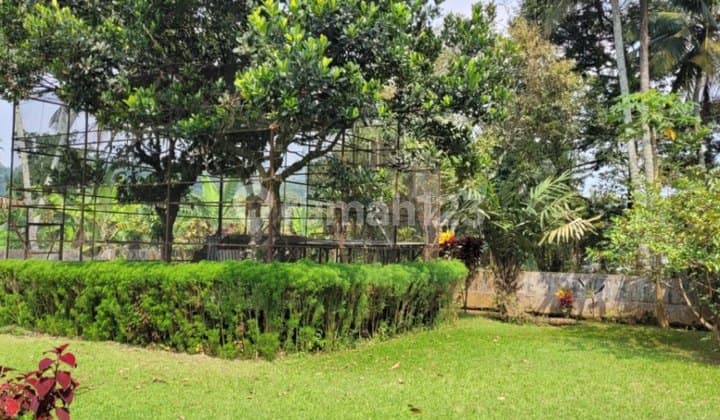 Strategic Villa Cipayung Megamendung Bogor