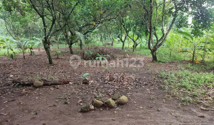 Land Near Residential Area on Jl Raya Cileungsi Cipeucang, Bogor Regency