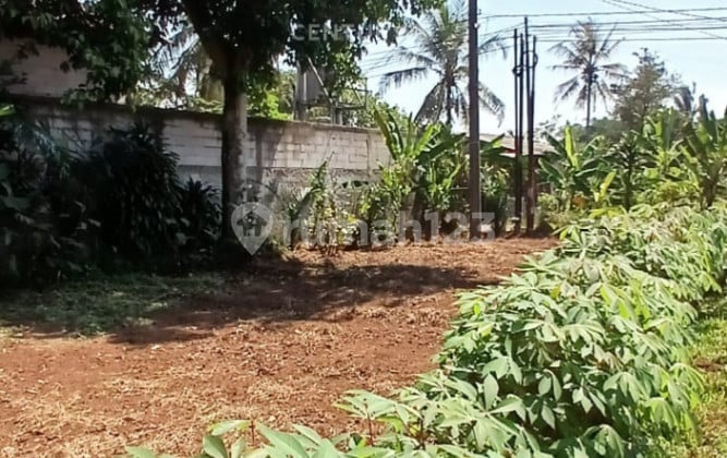 Kavling Strategis di Jl Raya Candali Kp Cioda Pabuaran Kab Bogor