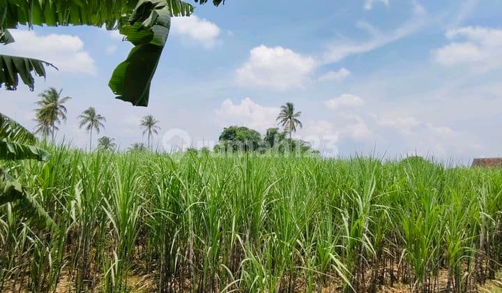 Tanah Luas Lokasi Poros Jalan Raya Gondanglegi Malang