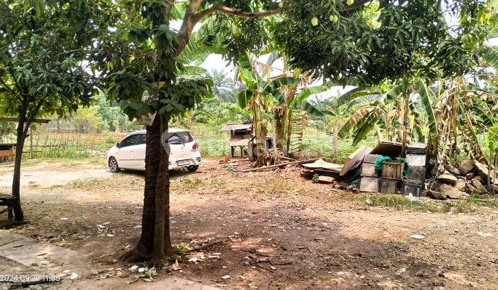 Tanah Strategis Dekat Bsd Luas 490 M Di Serpong