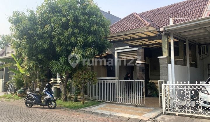 RUMAH MINIMALIS 1Man DI PURIMAS