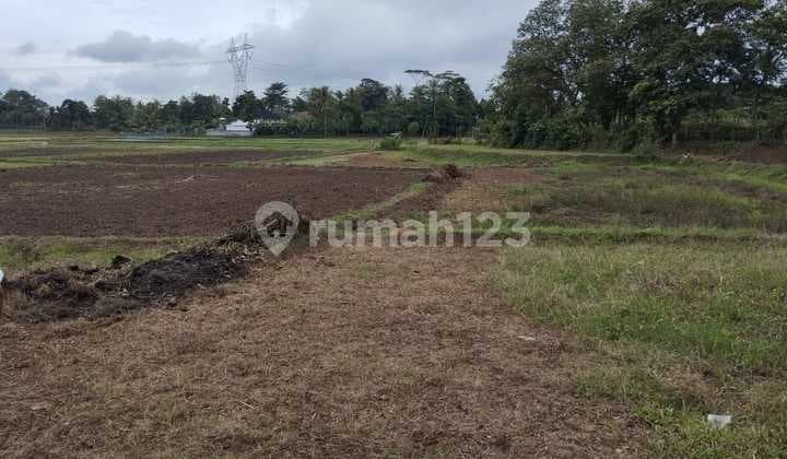 Di Jual Murah Tanah di Serang di Pamarayan Serang Banten
