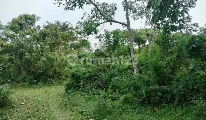 Cheap land for sale in Panimbangan, Sindang, Pandeglang, Serang.